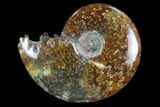 Polished, Agatized Ammonite (Cleoniceras) - Madagascar #97261-1